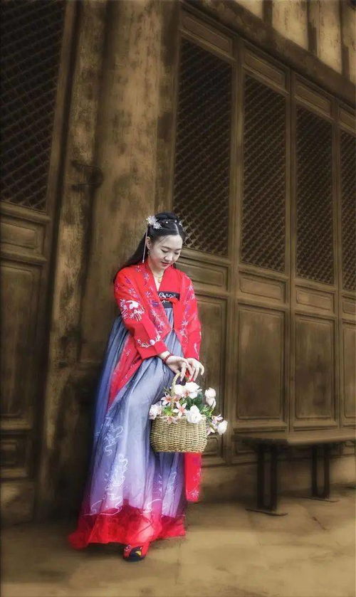“秦氏有好女”的下一句是什么?