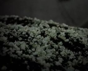 茉莉花八窨是什么意思，花茶七窨是什么意思