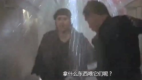 遽然怎么读，遽然夭折的读音
