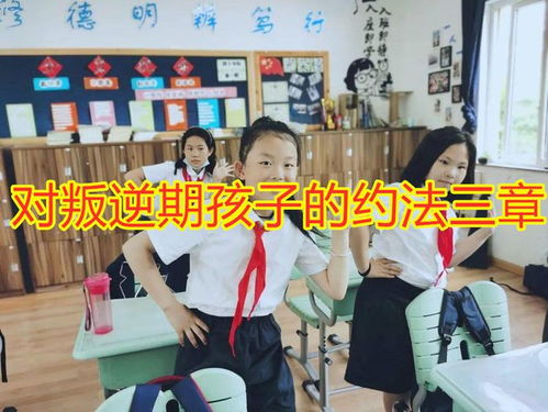 约法三章什么意思是动物吗，约法三章什么意思约法三章指什么生肖