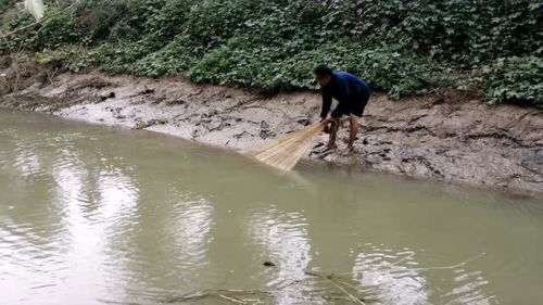 什么河里从来没有水打一个数字，什么河里从来没有水? (脑筋急转弯)打一生肖