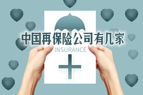 再保险是什么意思啊，保险年金险什么意思
