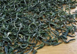 玉泉仙人掌茶，仙人掌茶是什么种类