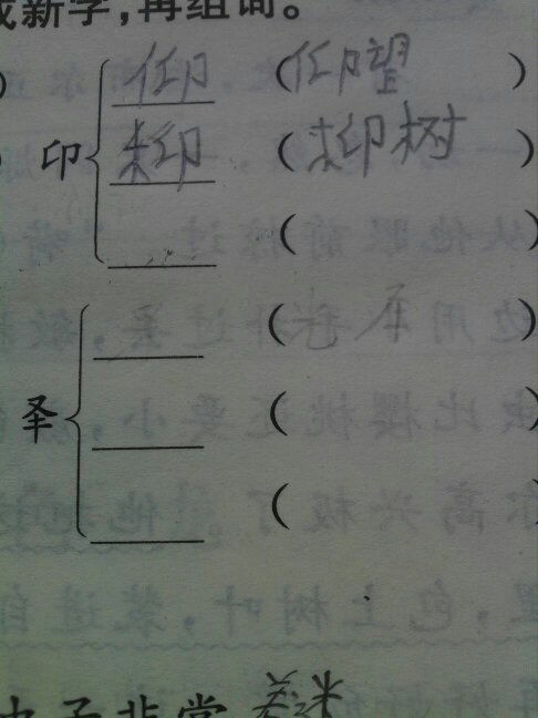 颈的部首和组词，圣的部首和拼音