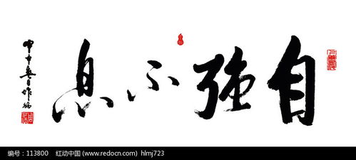 自强的名词解释