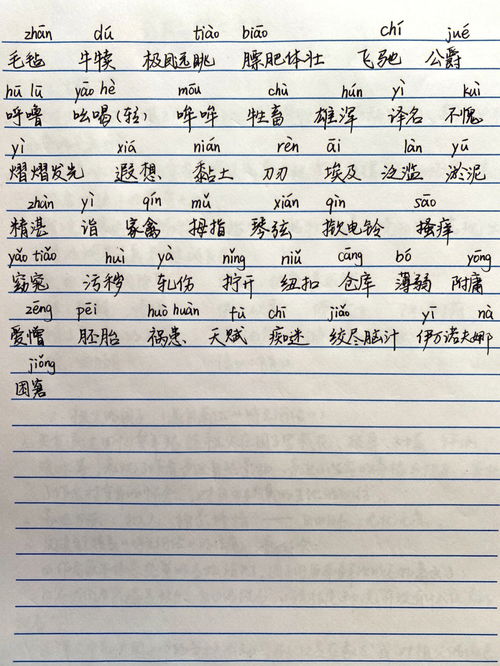 自可以组组成什么词?