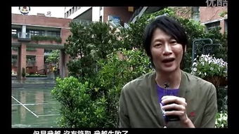 never say never什么意思