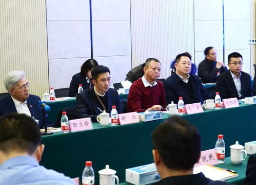 秦星技能搭配2023，秦星新能源汽车有限公司