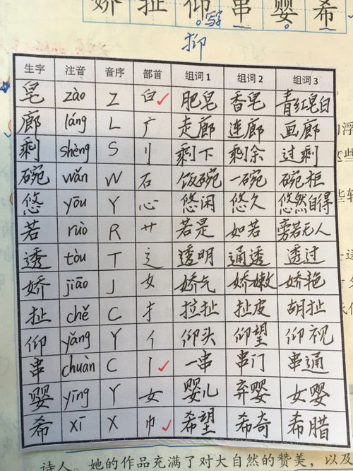 管 字组词，管字组词四字词语