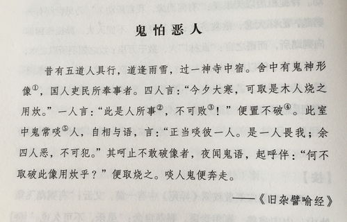 写作文五篇100字