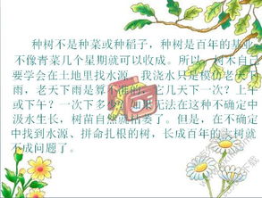 桃花心木读后感作文，桃花心木读后感300字