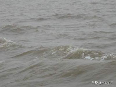 长江后浪推前浪下一句是什么意思，长江后浪推前浪下一句是什么句子 世上新人