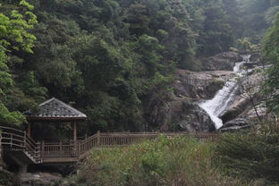 武平梁野山海拔多少米，武平梁野山旅游攻略