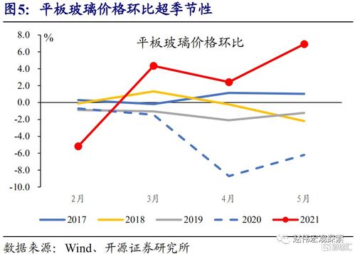 分化的名词解释