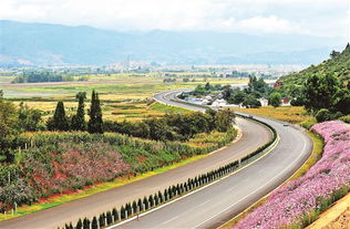 鹤大高速限速80还是120，鹤大高速详细路线图