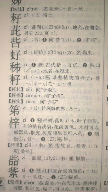 梓字的含义