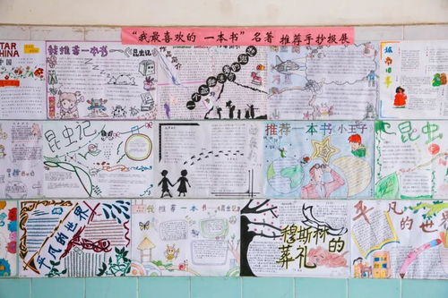 介绍一本好书作文500字，介绍一本好书作文450字