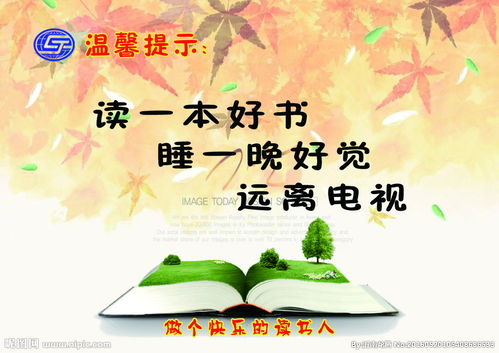 介绍一本书的作文400字左右