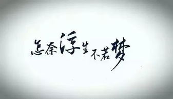 怎奈的意思