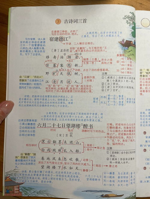 六年级上册语文古诗都有哪些?