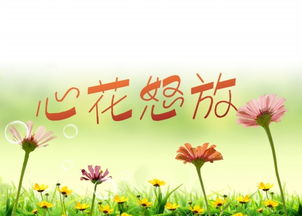 时间予我千万种欢喜,沿途心花怒放的意思，心花怒放的意思写句子