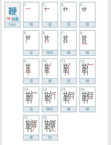 鞭的笔顺笔画，鞭的笔顺和部首