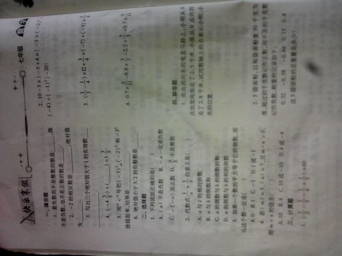 多元课程多彩作业七年级寒假作业，七年级寒假作业答案上册