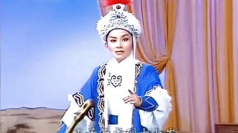 陈丽宇个人简历，陈丽宇简介