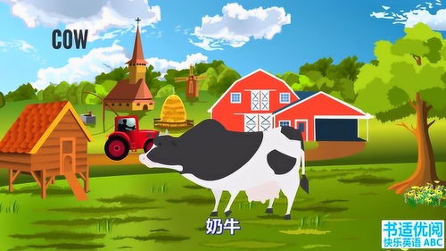 马英语怎么说