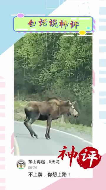 "四不像"是什么意思?
