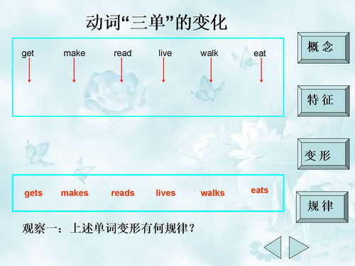 teach的第三人称单数，do的第三人称单数形式用英语怎么读