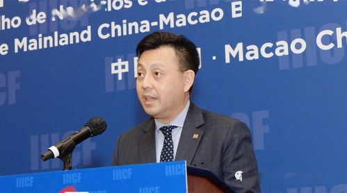 土根二姨太是什么电视剧