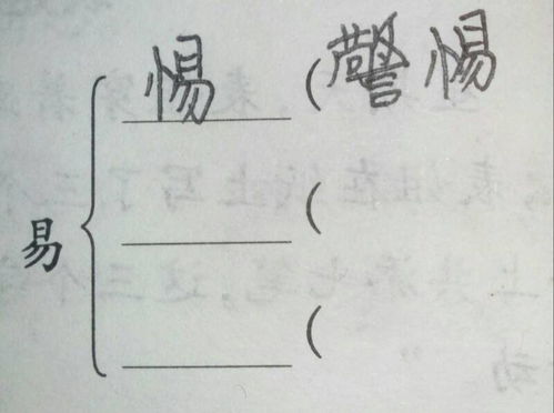 姓氏的氏可以加什么偏旁