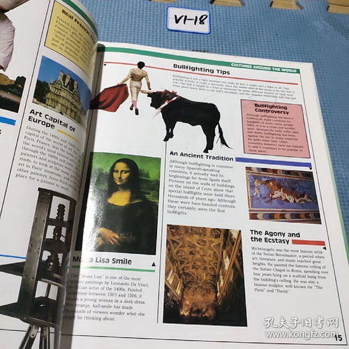文化culture是可数名词吗