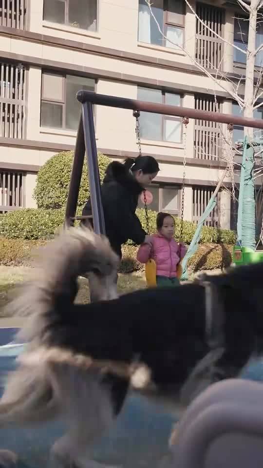 遛狗怎么发幽默说说