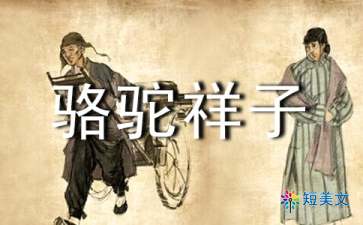 骆驼祥子读后感500字