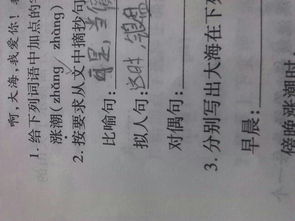 对偶句大全 优美摘抄六年级，对偶句大全自己写的
