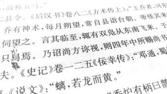 整饬怎么读什么意思