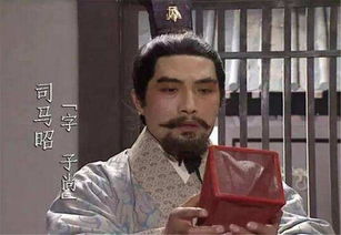 成济的寓意