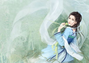 青衫隐歌词，青衫隐歌曲