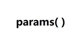 python中params是什么