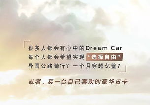 许哲佩的《疯子》歌词
