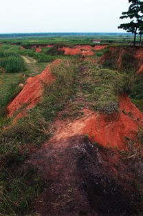 郯城大地震后从哪里迁移人口