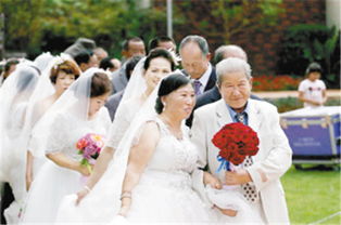 银婚金婚一览表，银婚电视剧免费播放观看