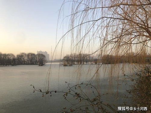 勾绞在八字中代表什么意思，勾绞煞在时柱是什么意思