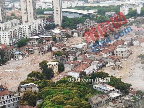 南郊客运站班车查询，南郊宾馆电话