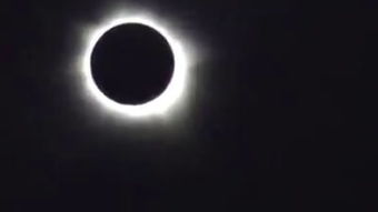 见星小说，见星怯喜全文免费阅读