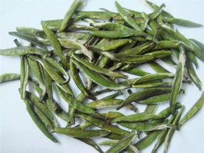 仙人掌茶