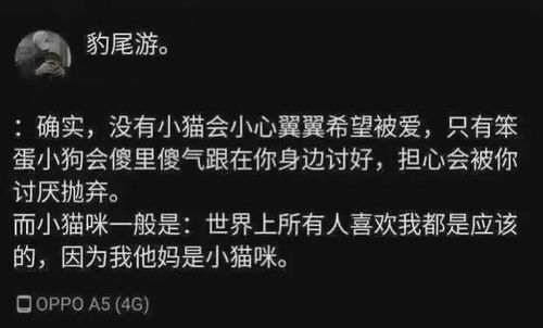 根据自己的名字取艺名,老师给自己取的艺名有什么?