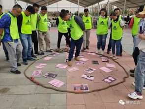 大学生该选什么样的运动来提高生活质量?
